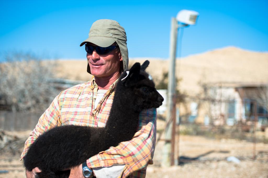 Вилла Alpaca Farm - חוות האלפקות Мицпе-Рамон Экстерьер фото