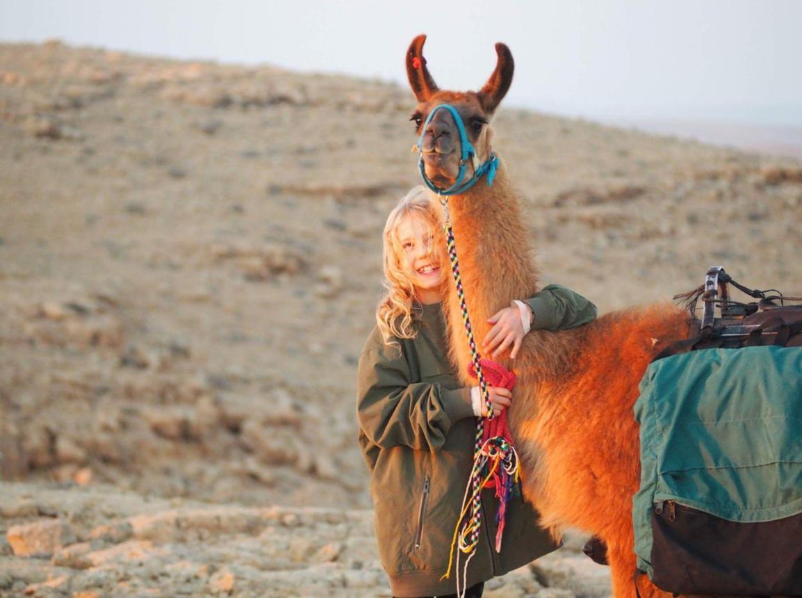 Вилла Alpaca Farm - חוות האלפקות Мицпе-Рамон Экстерьер фото