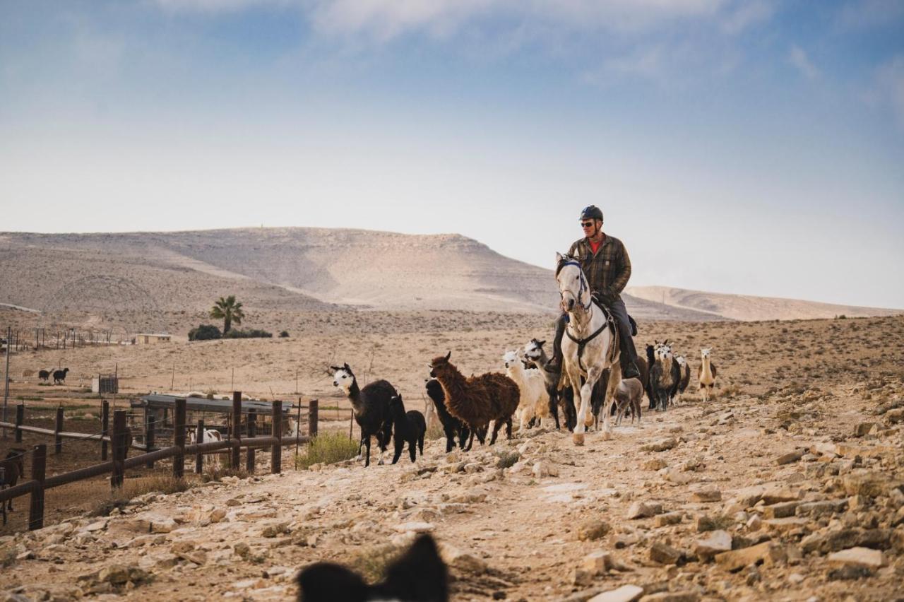 Вилла Alpaca Farm - חוות האלפקות Мицпе-Рамон Экстерьер фото