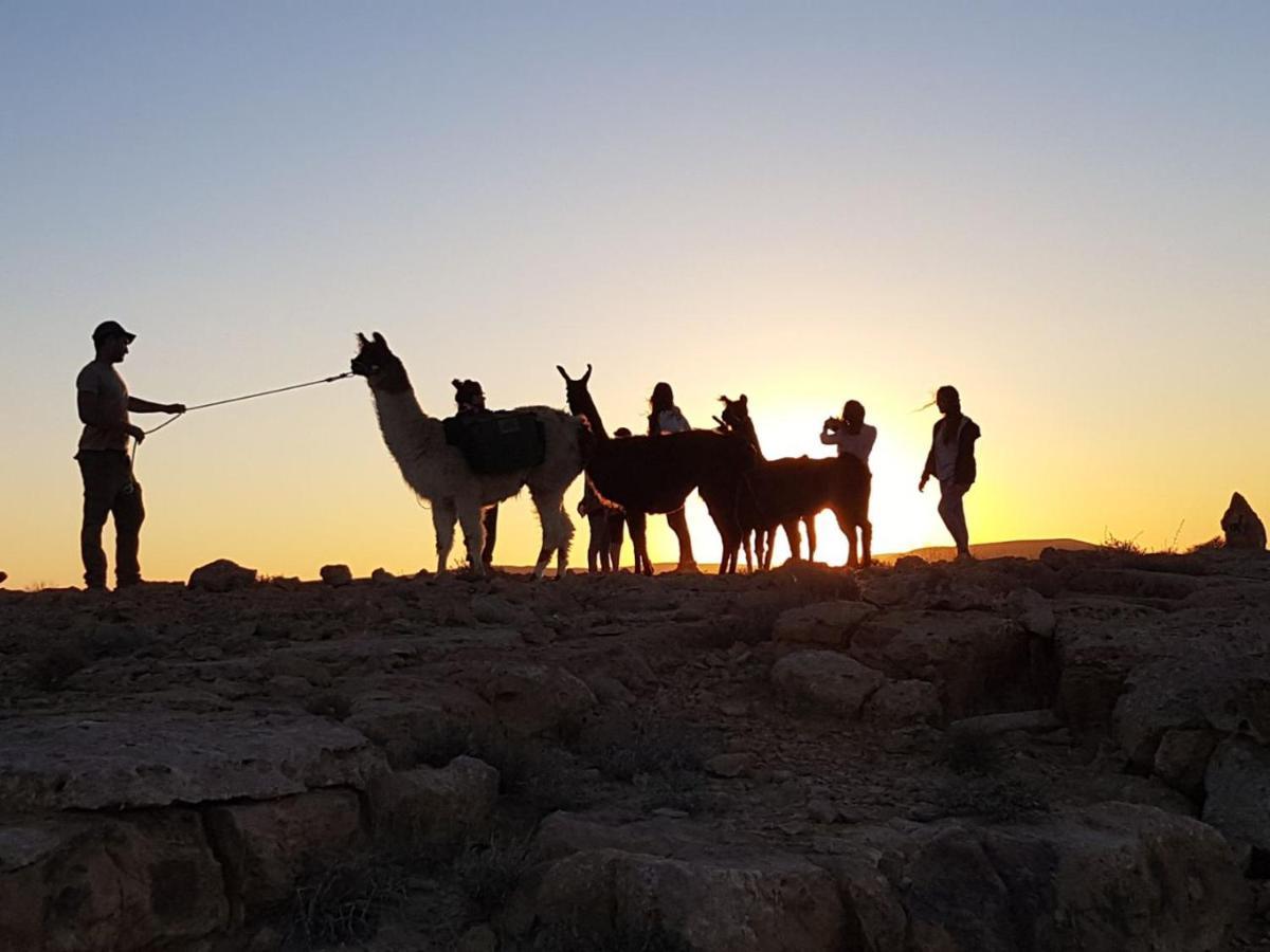 Вилла Alpaca Farm - חוות האלפקות Мицпе-Рамон Экстерьер фото