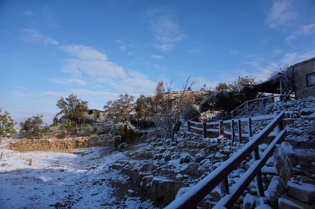 Вилла Alpaca Farm - חוות האלפקות Мицпе-Рамон Экстерьер фото