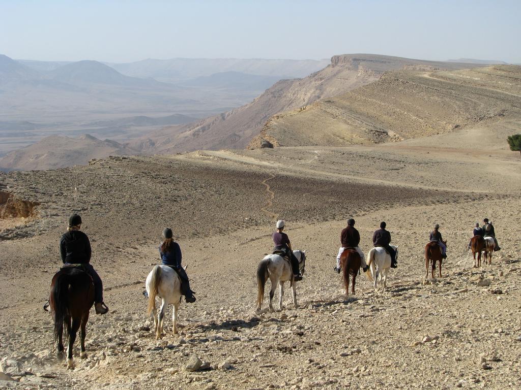 Вилла Alpaca Farm - חוות האלפקות Мицпе-Рамон Экстерьер фото