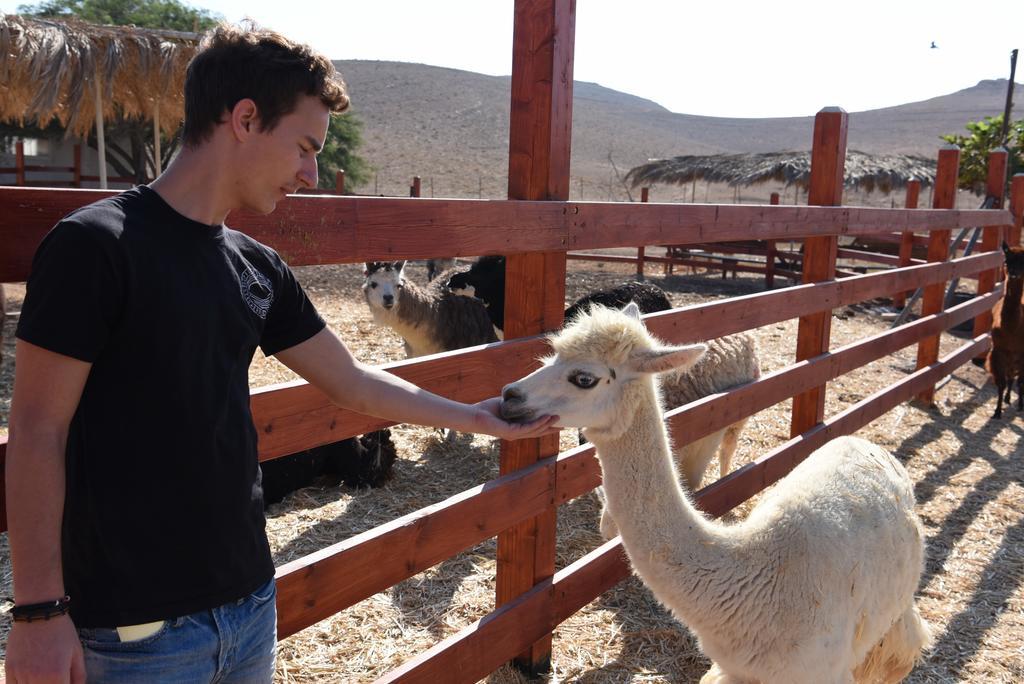 Вилла Alpaca Farm - חוות האלפקות Мицпе-Рамон Экстерьер фото