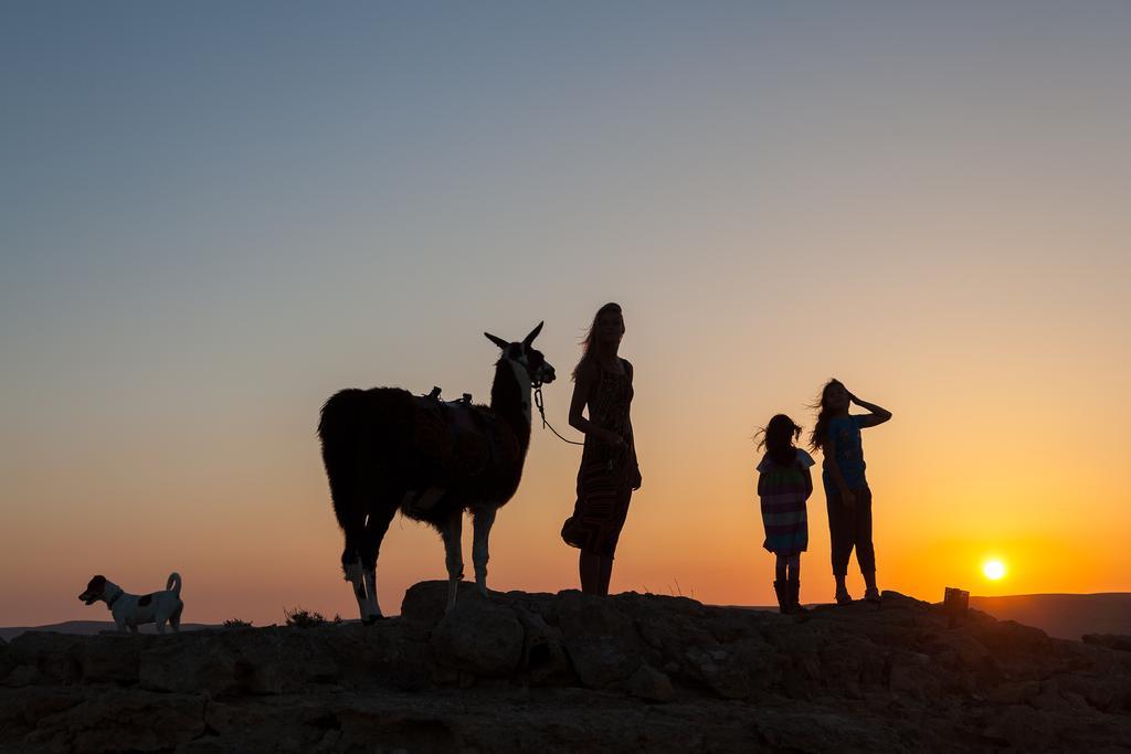 Вилла Alpaca Farm - חוות האלפקות Мицпе-Рамон Экстерьер фото